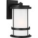 Wilburn 1 Light 13.5 inch Black Outdoor Wall Lantern, Medium
