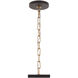 Cannery 4 Light 24 inch Dark Bronze and French Gold Pendant Ceiling Light