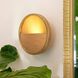 Garland Sconce Wall Light