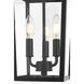 Riggs 3 Light 8 inch Black Outdoor Pendant