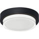 Elm LED 11 inch Black Outdoor Flush Mount