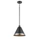 Place Royal 1 Light Graphite Pendant Ceiling Light