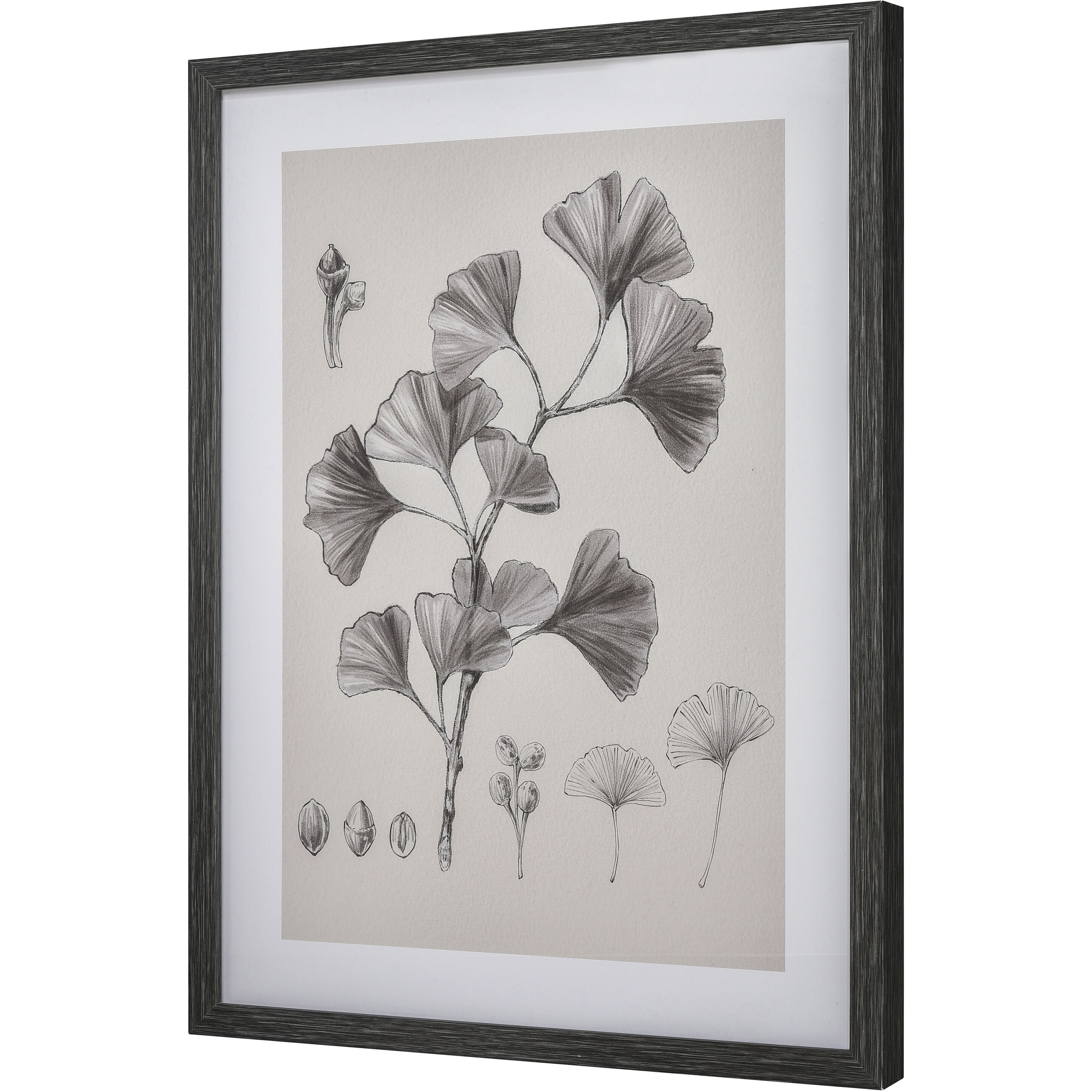 Ginkgo Botanic Ivory with Black and Clear Framed Wall Art