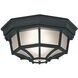Builder 1 Light 11 inch Black Outdoor Flushmount