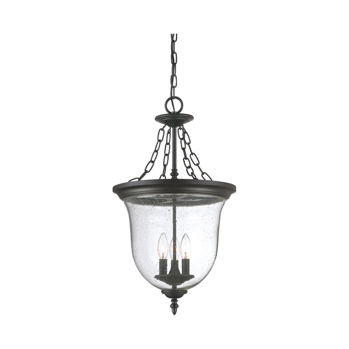 Belle 3 Light 14.25 inch Outdoor Pendant/Chandelier