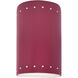 Ambiance Collection LED 9.5 inch Cerise Outdoor Wall Sconce