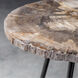 Mircea 20 X 16 inch Natural Petrified Wood and Aged Black Accent Table