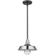Burry 1 Light 10 inch Satin Nickel Exterior Convertible Pendant