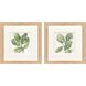 Summer Leaves Green and Black and White Framed Art, Propac
