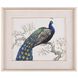 Tim O'Toole's Peacock and Blossoms II Giclees, Animal