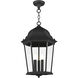 Hamilton 3 Light 12.5 inch Textured Black Outdoor Pendant Lantern