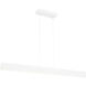 Form Dual LED 2 inch Matte White Pendant Ceiling Light