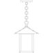 Timber Ridge 1 Light 9 inch Rustic Brown Pendant Ceiling Light in Clear Seedy
