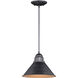 Outland LED 10 inch Aged Iron and Light Gold Outdoor Pendant