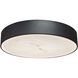 Walsh LED 16 inch Matte Black Flush Mount Ceiling Light