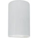 Ambiance Cylinder LED 12.5 inch Gloss White Outdoor Wall Sconce, Large