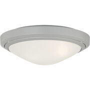 Outdoor Ceiling Lights