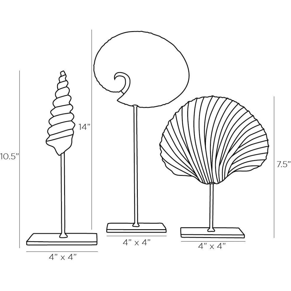 Shell 14 X 7 inch Sculptures, Set of 3