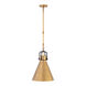 Fenric 1 Light 13.75 inch Legacy Brass and Dark Bronze Pendant Ceiling Light
