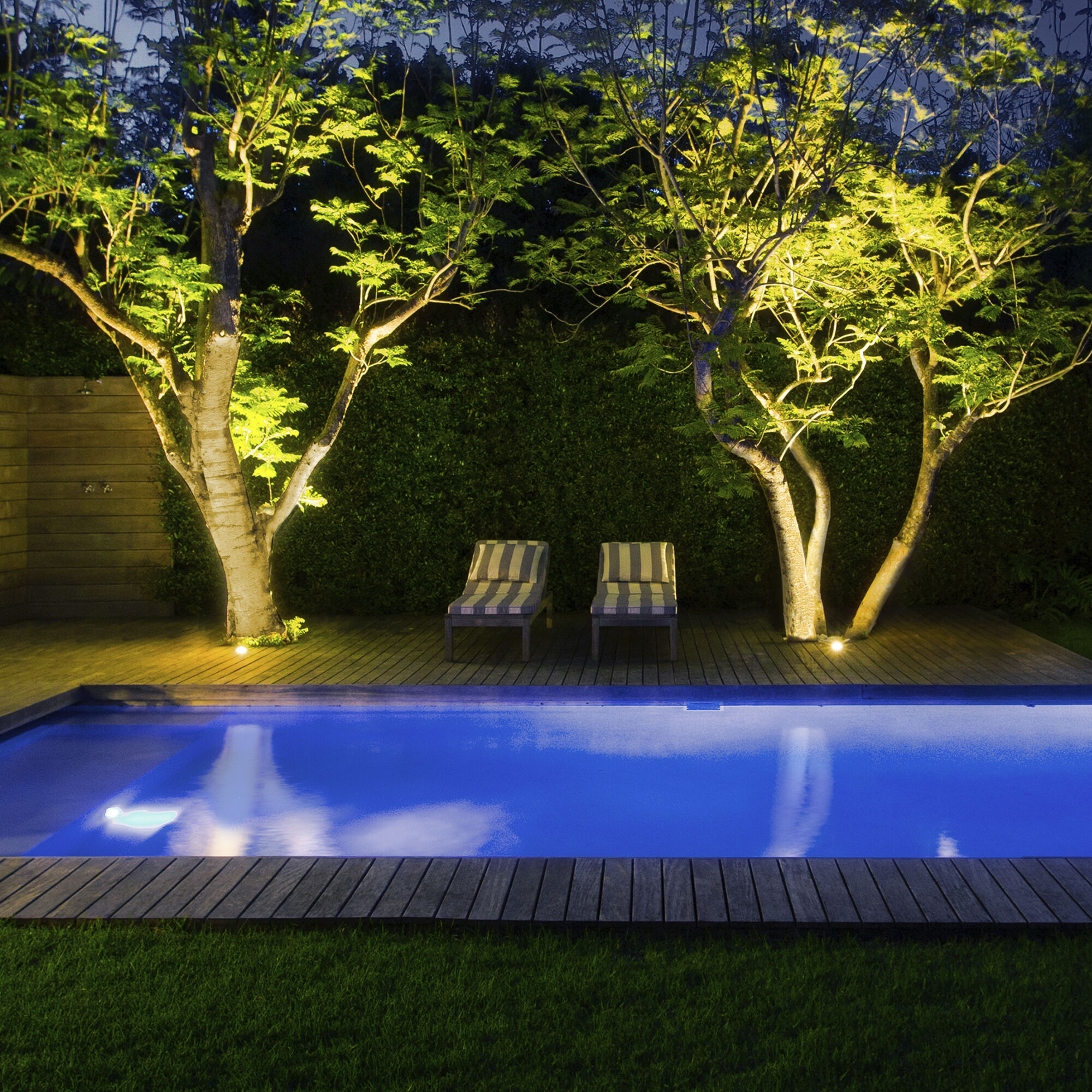 Tyler 12 Bronze Path Lighting in 2700K