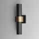 Reveal Outdoor LED 18 inch Black and Gold Outdoor Wall Mount