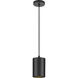 CYL RNDS 1 Light 5 inch Black Outdoor Pendant