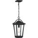 Darius 1 Light 11 inch Earth Black Outdoor Hanging Lantern