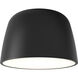 Taiko 2 Light 11.81 inch Matte Black Interior Ceiling Light