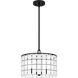Seigler 3 Light 14 inch Matte Black Pendant Ceiling Light
