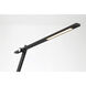 Task Portables 55.5 inch 8.00 watt Anodized Brushed Coal Floor Lamp Portable Light