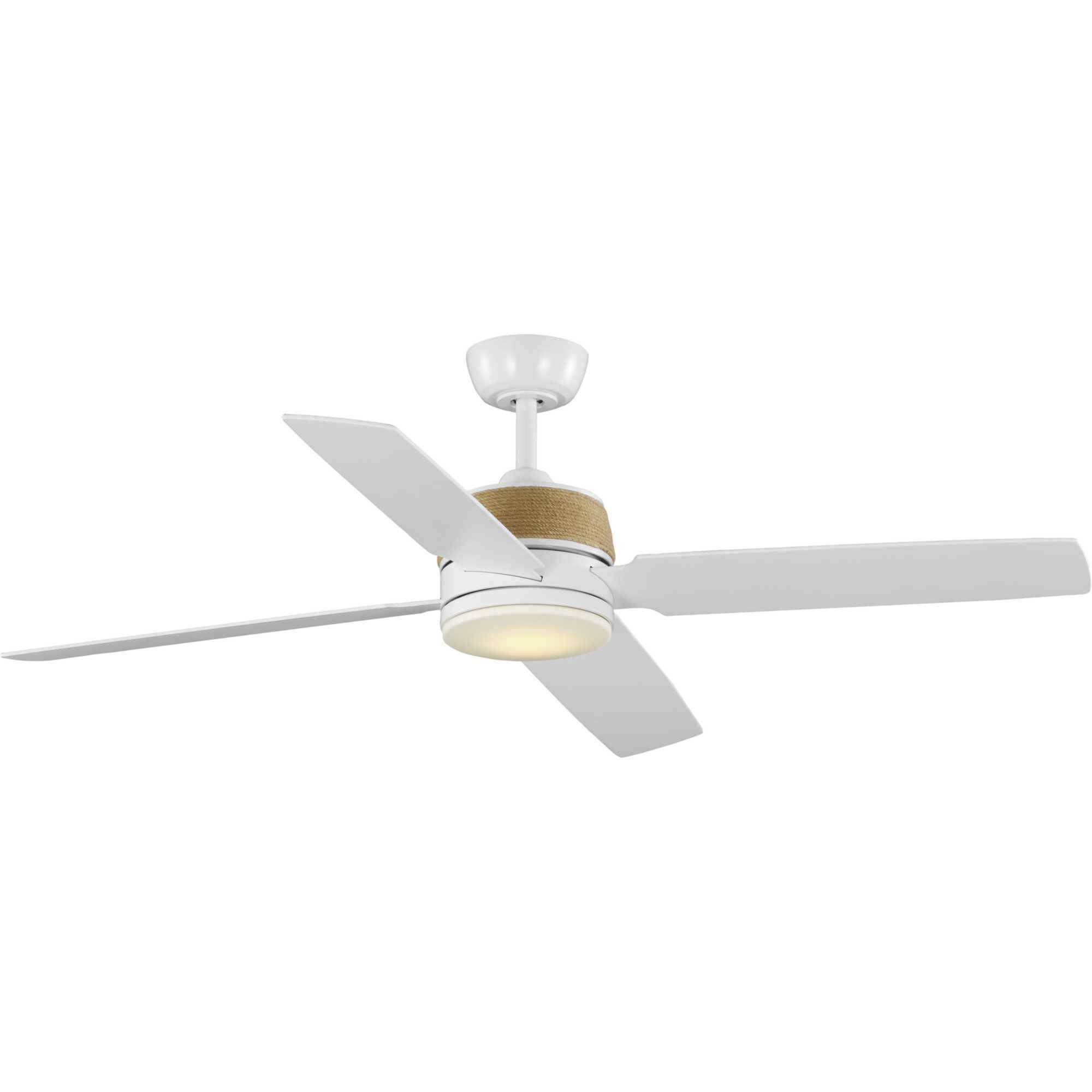 Shaffer II Ceiling Fan