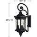 Estate Series Raley Outdoor Wall Mount Lantern in Museum Black, Non-LED, Medium
