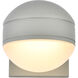 Raine Outdoor Wall Light in Silver