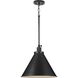Hinton 1 Light 16 inch Matte Black Pendant Ceiling Light