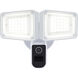 Starfish Outdoor Security Light