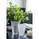 Anita 9.1 X 3.9 inch Vase
