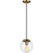 Leo - Hanging Globe 1 Light 8 inch Satin Brass Pendant Ceiling Light