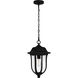 Mulberry 1 Light 9 inch Matte Black Outdoor Hanging Lantern