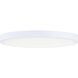 Trim LED 11 inch White Flush Mount Ceiling Light