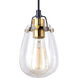 Kassidy LED 5 inch Black and Natural Brass Mini Pendant Ceiling Light