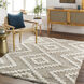 Florida 120 X 94 inch Taupe Rug, Rectangle
