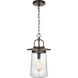 Tybee 1 Light 8.5 inch Antique Bronze Outdoor Pendant