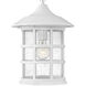 Freeport Coastal Elements 1 Light 10 inch Textured White Outdoor Hanging Lantern