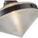 Willard Pendant Ceiling Light in Urban Bronze, Clear Prismatic Glass