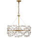 Camille 5 Light 24 inch Warm Brass Chandelier Ceiling Light