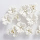 Primrose White Wall Decor, Small