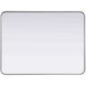 Remy 36 X 27 inch Silver Mirror