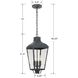Dumont 3 Light 9.25 inch Graphite Outdoor Pendant