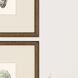 Naturals Neutral and Green and Blue and Beige Framed Art