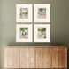 Garden Retreat I Green and Brown and Pink and White Framed Art, The Studio